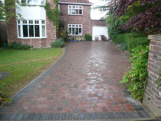 Alpha Setts in Brindle After