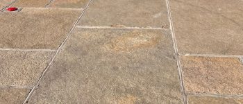 Honey Gold Limestone